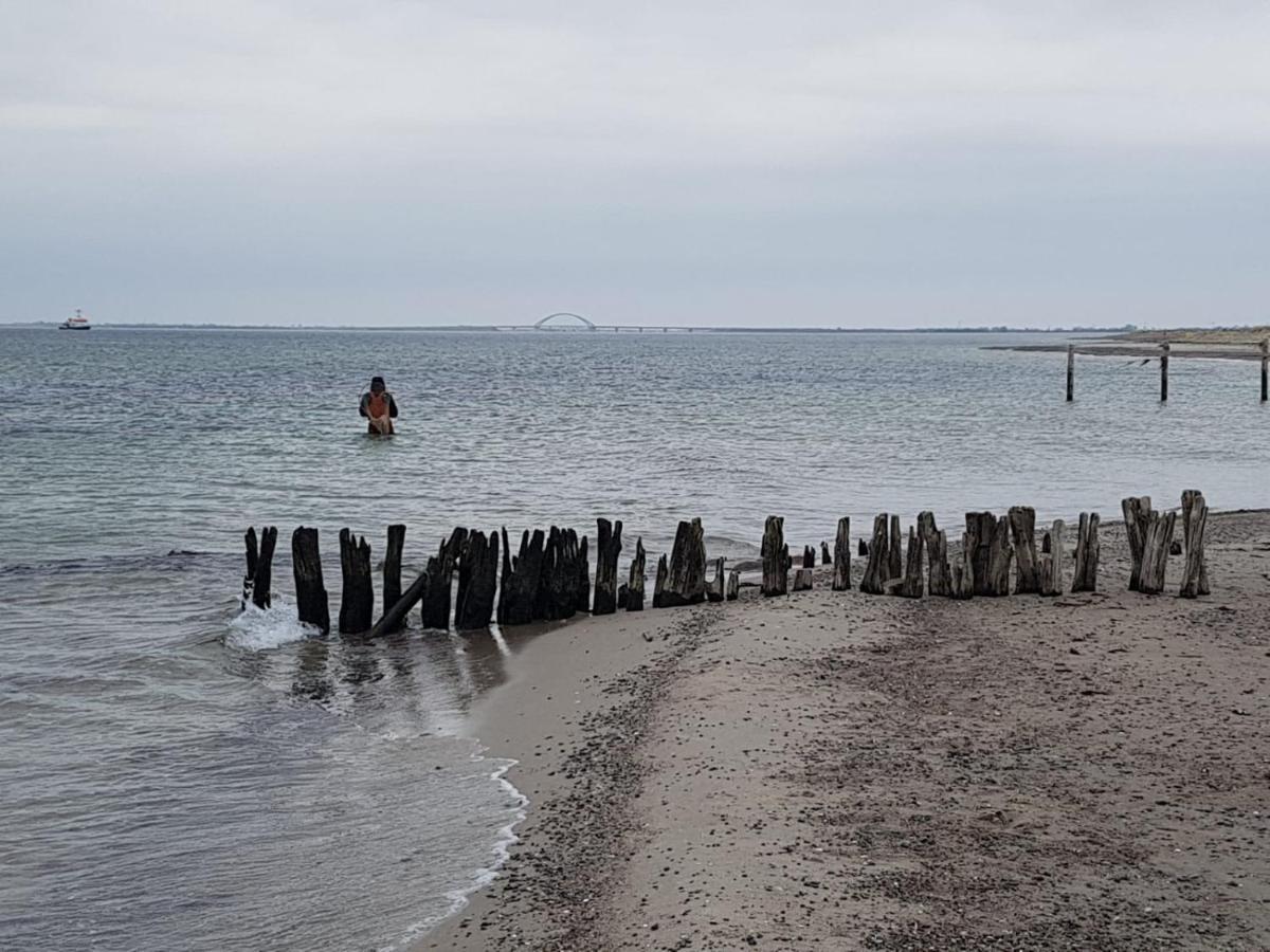 Ferienwohnung Luv Grube Ostsee Exterior foto