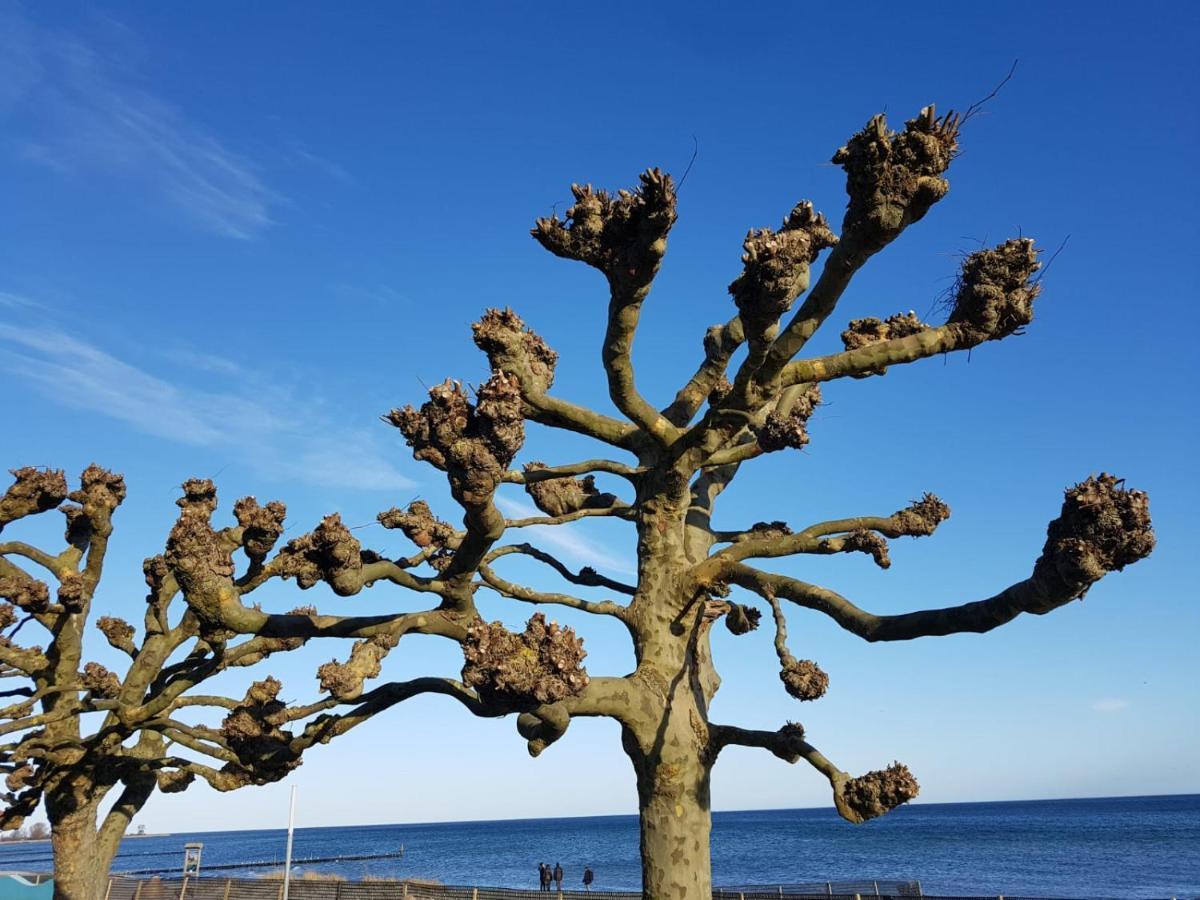 Ferienwohnung Luv Grube Ostsee Exterior foto